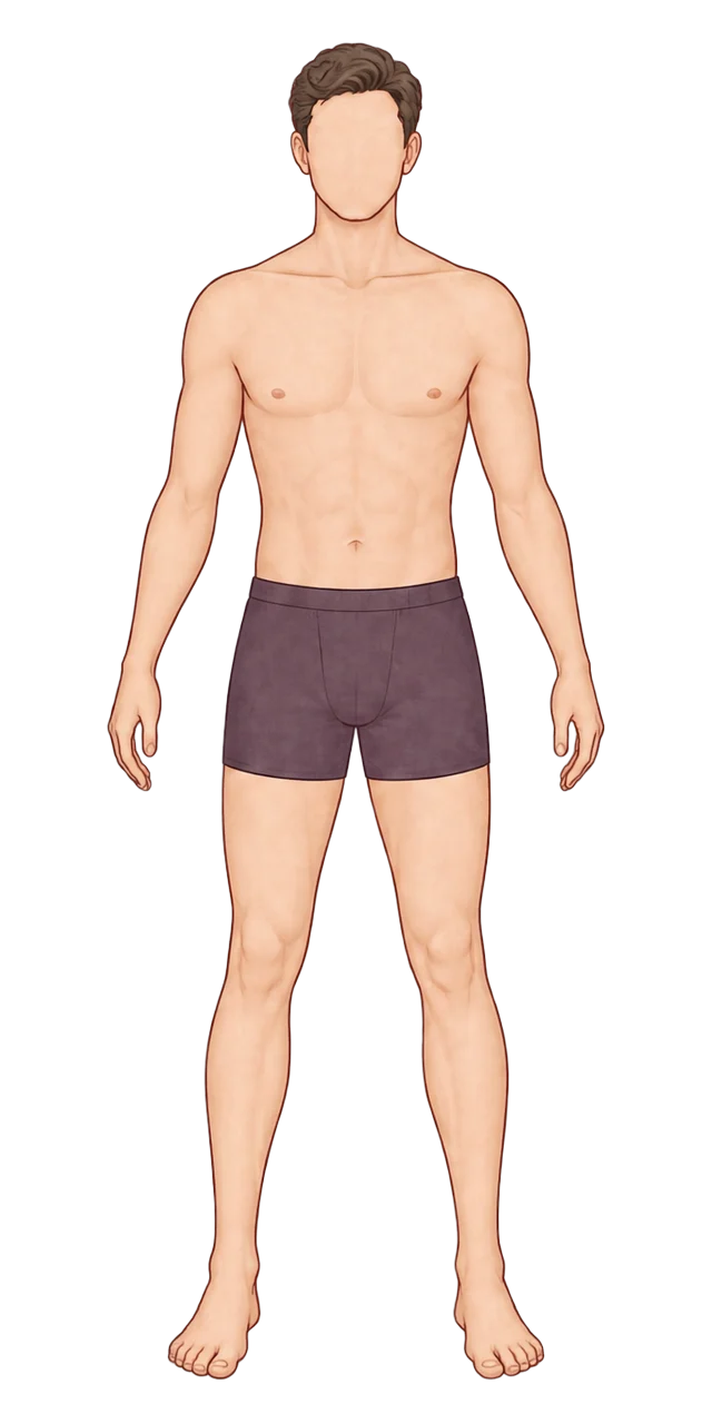 Illustration of a man, front view