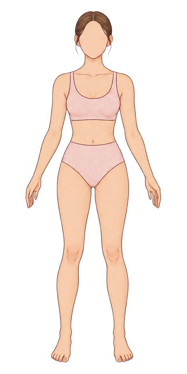 Illustration of a woman, front view
